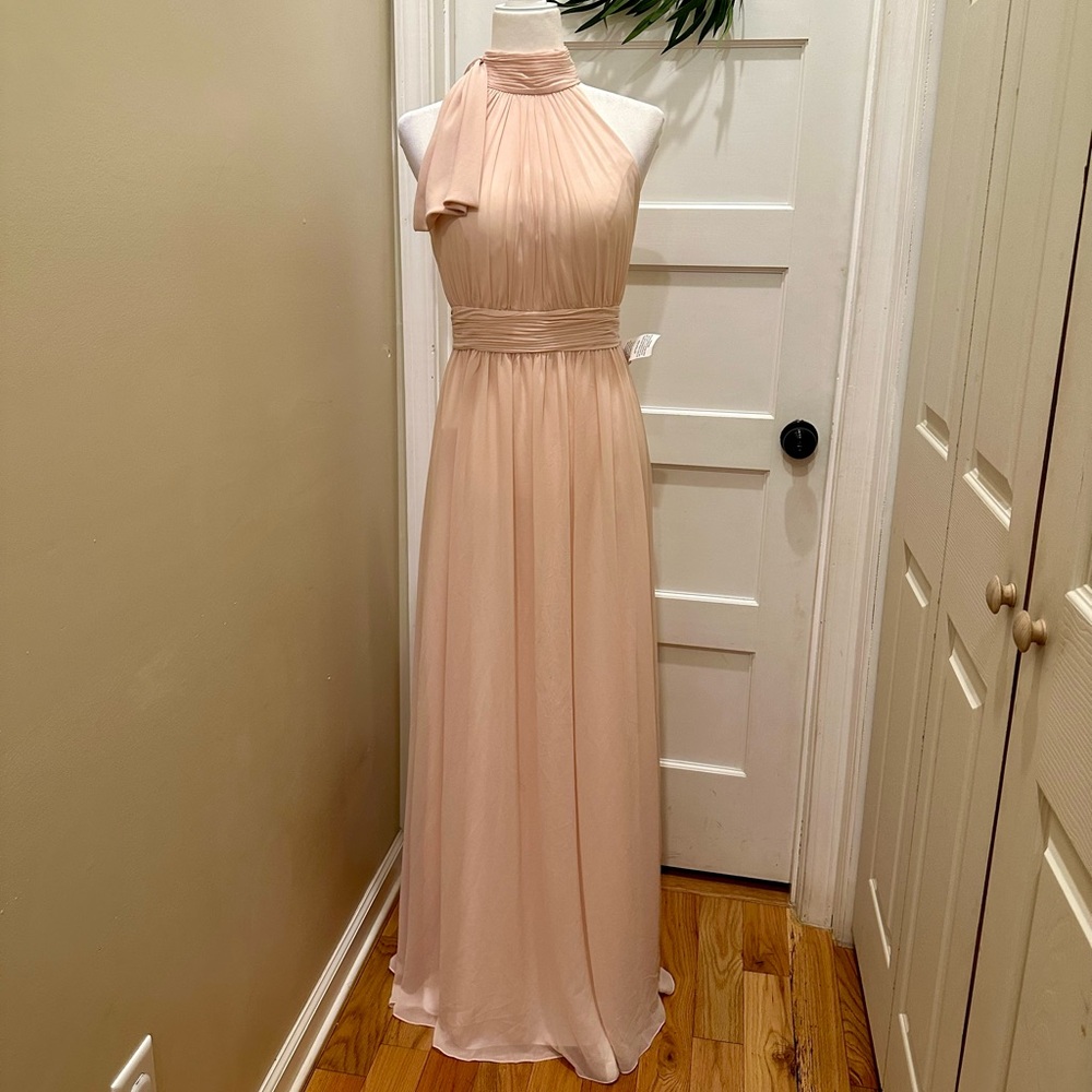Ieena for MacDuggal High Neck Chiffon Gown Maxi Dress Blush Size 6 NWT